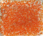 naranjo 3052
